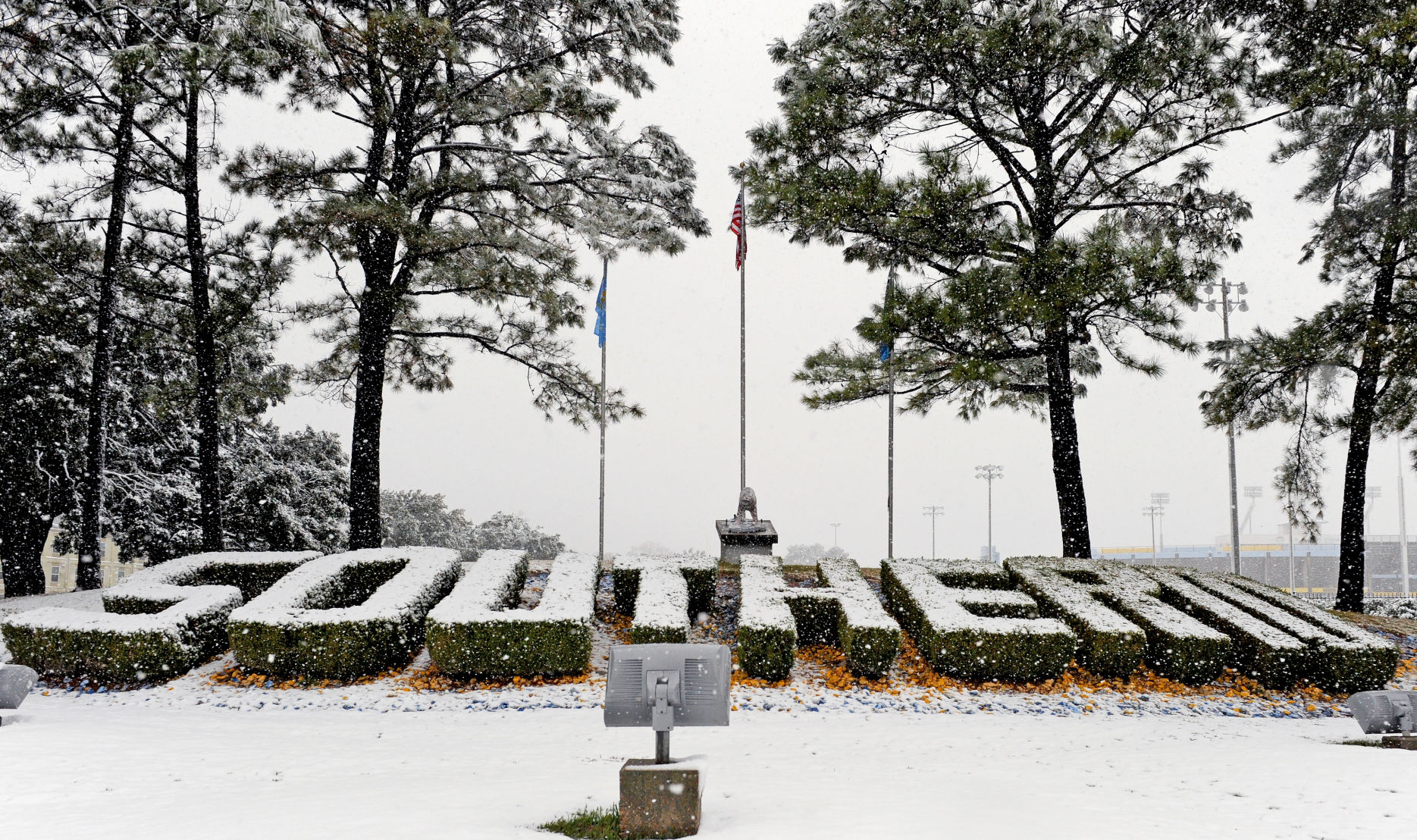 MR.snow120717.MD026